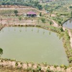 chuyển nhượng khu homesfarm giá rẻ ( cách hồ đại lải hơn 1km )