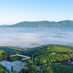 view đẹp đồi bát úp đại lào, đường hiển thị sổ, đồi chè thơ mộng cùng sầu riêng và bơ, gần dân cư