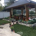 chính chủ cho thuê biệt thự đường phùng khắc khoan đa kao quận 1 - 12x24m. hầm trệt 2 lầu có hồ bơi