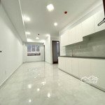 felisa riverside căn 62m2 2 phòng ngủ 2 nhà vệ sinh