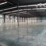 Bán xưởng 6000m2-10000m2 KCN Châu Đức, Huyện Châu Đức, BRVT