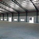 Bán đất xây dựng nhà xưởng 14500m2 KCN Thuận Đạo, Bến Lức, Long An