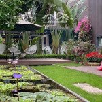 bán biệt thự liền kề gamuda garden lô góc giá thấp nhất khu vực