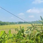 đất đẹp giá rẻ ( view cánh đồng tuyệt đẹp)