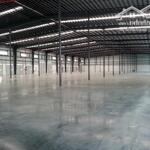 Cho Thuê Tổngdiện Tích7000M2 - 200 Triệu/Th (Kho 3200M2) Trong Kcn Hải Sơn - Tân Đô - Giáp Ranh Hcm