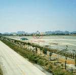 Chuyển nhượng 2,5ha đất Cụm công nghiệp Văn Phong, Ninh Bình