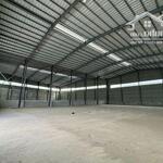 Cho thuê kho xưởng 3000m2-15000m2 KCN Xuyên Á, Huyện Đức Hòa, Long An