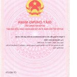 qsdđ thửa đất số 1850, 1921, 1849, 1920, 1851, tbđ số 29 tại x.tân phú đông, tp.sa đéc, t.đồng tháp