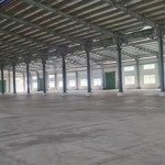 cho thuê xưởng ở ccn tpm bình dương,factory for rent at binh duong new city industrial park