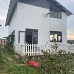 chính chủ đang cần tiền nên bán gấp căn nhà vườn cùng 1 bungalow đang cho thuê homestay