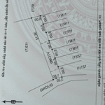 Long tân giáp PLT - chính chủ bán gấp 1 lô 175