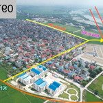 chuyển nhượng đấu giá dục tú - đông anh - hà nội