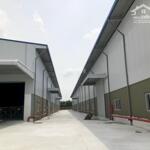 Cập nhật kho - xưởng cho thuê tại Đà Nẵng: Diện tích linh hoạt từ 500m2 đến 15.000m2, đáp ứng mọi nhu cầu từ lưu trữ đến sản xuất