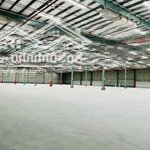 kho xưởng kcn kim động, 3000-23.000m2, kho mới, pccc tự động, khuôn viên riêng biệt, 50nghìn/m2/th