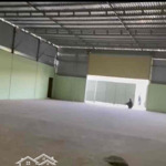 : 500m217tr/th, Kinh Trung Ương, Vĩnh Lộc A, Bình Chánh