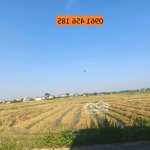 bán đất thắng, hiệp hoà, bắc giang 100m2, mt5m, đường nhựa. quy hoạch khu dân cư. 1,45 tỷ