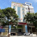 cực rẻ! bán toà nhà 449e sư vạn hạnh ngay vạn hạnh mall (11x24m, hầm 7 tầng) hđt: 230 tr/th - 42 tỷ