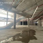 cho thuê shophouse giá 50 triệu vnd tại lào cai, 200m2