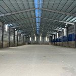 cho thuê kho 3000m2 gần trung tâm tpct pccc đầy đủ