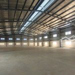 Cho thuê kho xưởng 5000m2 - 10.000m2 trong KCN Đức Hoà, Long An