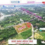 bán 5280m2 đất cây lâu năm 2 mt an ngãi long điền bà rịa, giá 6 tỷ thương lượng lh: 0933768252