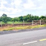 Bán 1764m2 đất MT đường Duyên Hải xã Long Hoà, H.Cần Giờ, có 697m2 thổ