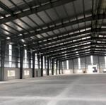 Cho Thuê Kho Xưởng Mới 5000M2, 8000M2, 12.000M2 Kcn Long Hậu, Long Hậu, Cần Giuộc, Long An