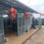 bán đất trồng cây 1,5 ha di linh lâm đồng trên đất có trồng cà phê và sầu riêng