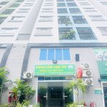 bán gấp shophouse 123m2 tại 8x plus trường chinh, giá 3,55 tỷ vnd