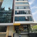 building hoàng hoa thám 8m x 21m hầm 6 lầu thang máy - sàn 928m2 giá 41,8 tỷ tl