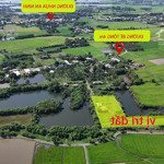 siêu phẩm siêu rẻ: nhà vườn 5.000 m2...đang trồng ổi, dừa, sầu riêng đức hòa, long an, giá ko tưởng