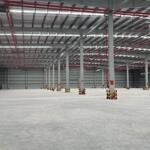 Cho thuê nhà xưởng 5600 m2 16800 m2 CCN Trường Xuân, Tháp Mười, Đồng tháp