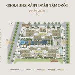 the senique vinhomes ocean park, giá 68tr/m2, ck 13%, quỹ căn từ tầng 5, căn 2pn