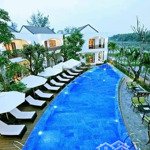 [cơ hội kinh doanh] villa nghỉ dưỡng cao cấp, gần phố cổ hội an, dòng tiền ổn định