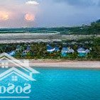 bán resort mặt tiến trần hưng đạo giảm sâu chỉ còn 350 tỷ/11694m2