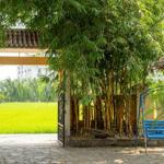 Homestay Hội An Quảng Nam bán cắt lỗ, Diện tích hơn 400m2 giá tốt để đầu tư sinh lời.