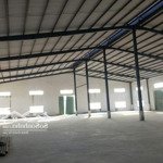 gấp, gấp! cho thuê kho, nhà xưởng 8000m2 tại phường 1, ngã năm, sóc trăng