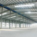 Cho Thuê Nhà Xưởng 6000M2 Giá Chỉ 300 Triệu/Th Trong Kcn Thuận An, Bình Dương