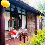 bán gấp villas hội an gần biển cửa đại - có sổ đỏ, giá chỉ 8,1 tỷ