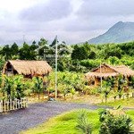 chào bán nhà vườn với dt 5ha (50000m2). gần khu du lịch bà nà, hoà ninh. view suối đường nhựa 7m