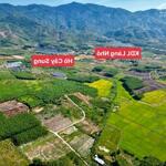 Bán hơn 14.000m2 đất mặt đường HL62, cách uỷ ban xã Diên Tân 450m, giá 3ty5.