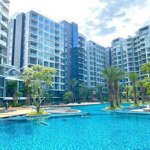 rỗ hàng căn hộ cho thuê diamond cao cấp nhất celadon city, 2-3pn có loại cơ bản và full nội thất