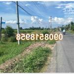 ️Bán 2307m2 đất vị trí đẹp tại ấp Bà Tiên 1, đường TL 877B, xã Phú Đông, Tân Phú Đông, Tiền Giang, 0908518958