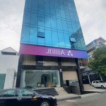 building ngộp, 32 giảm về 19 tỷ, trung tâm bình thạnh, hẻm 12m, dt: 8x23m, 5 tầng, hdt: 50tr.