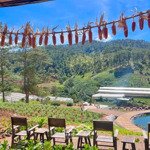 bán 1,1ha đất tặng căn homestay mới xây dựng tại lạc dương, cách ql 27c 3km lh 0906837998 đông luận