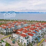 chính chủ bán biệt thự 3,5 tầng tứ lập 139m2 sun grand city feria mặt biển bãi cháy, hạ long.