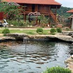 chính chủ bán homestay ngay cạnh cổng rừng cúc phương nho quan ninh bình, dòng tiền mạnh