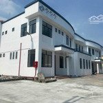 cho thuê trong kcn tân đô - hải sơn - tổng dt 7.000m2 (kho 4.500m2) - giá 300 triệu/tháng