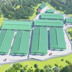 cho thuê xưởng sản xuất tổng 2.1000m2 dt 2000m2, 3000m2, 3.600m2. giấy phép đầy đủ. tân uyên, bd