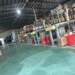 xưởng long nguyên bàu bàng 3000m2 có vp pccc tự động điện 400kva sx đa ngành nghề đường cont